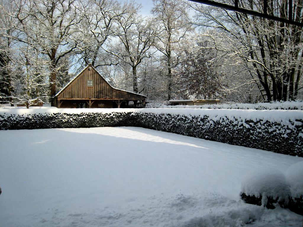 Отель Under Oaks Westmalle Экстерьер фото